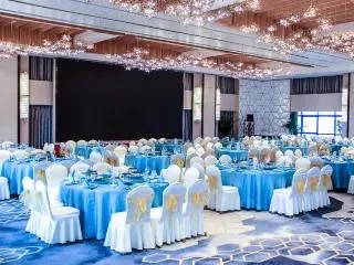 杭州西溪雷迪森大酒店会议场地实景