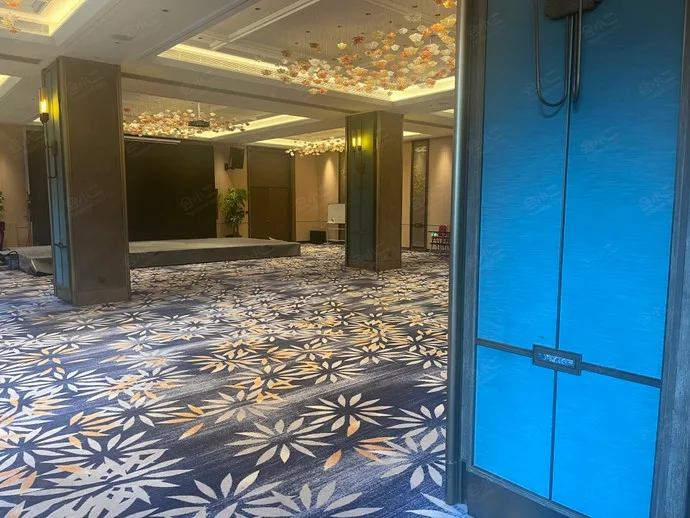 杭州湖山雷迪森庄园酒店会议场地实景