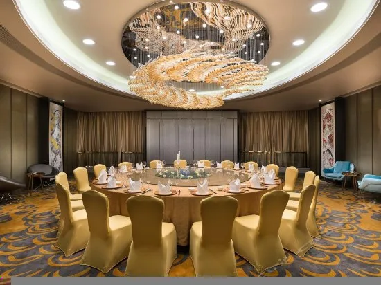 南京禄口机场铂尔曼大酒店会议场地实景