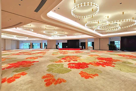 成都明悦大酒店会议场地实景
