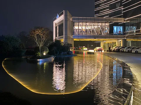 成都非遗博览园缇沃丽酒店会议场地实景